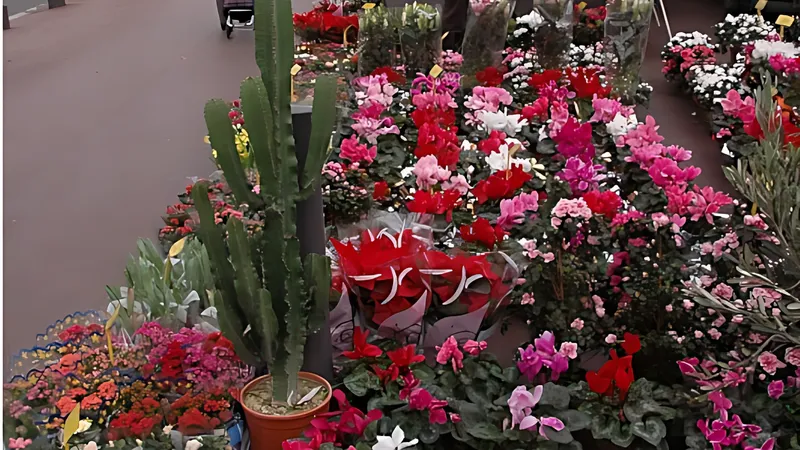 Marché Michelet