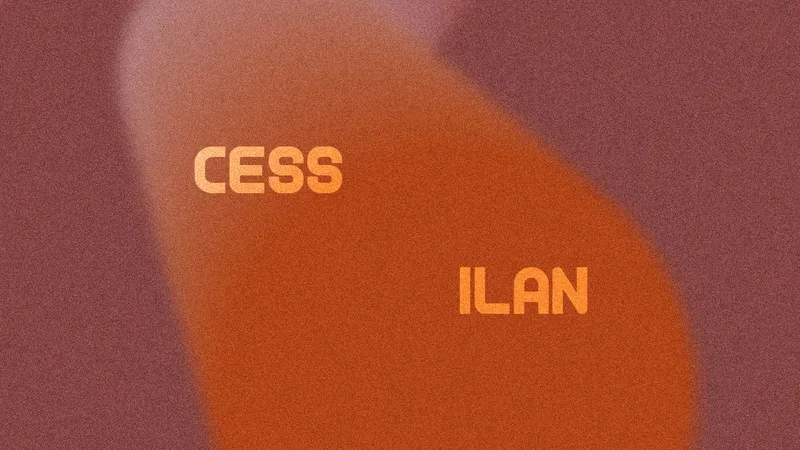 Nido - local - Cess & Ilan