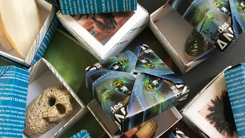 Petits jeux Muséum