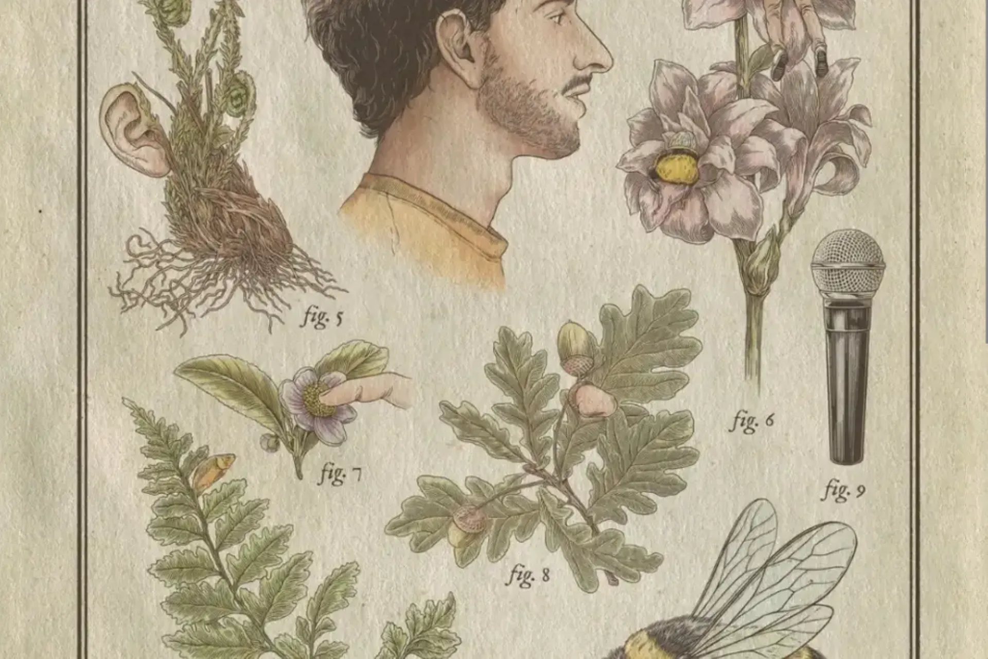 Rémi Boyes