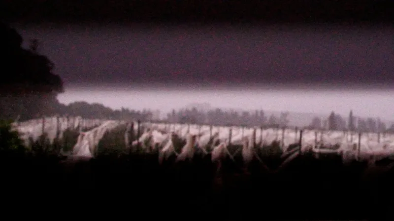 Biennale des Imaginaires Numériques 2026 - Élégie d'une disparition