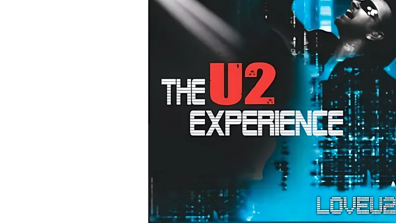 The U2 Experience