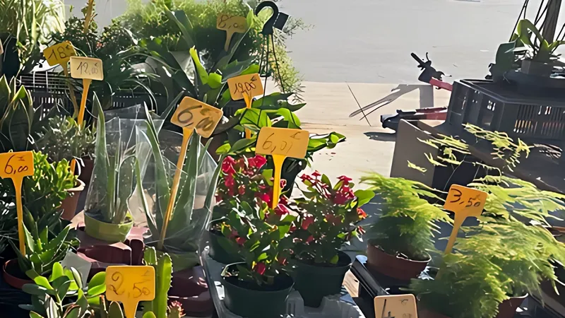 Marché aux fleurs Grand Pavois
