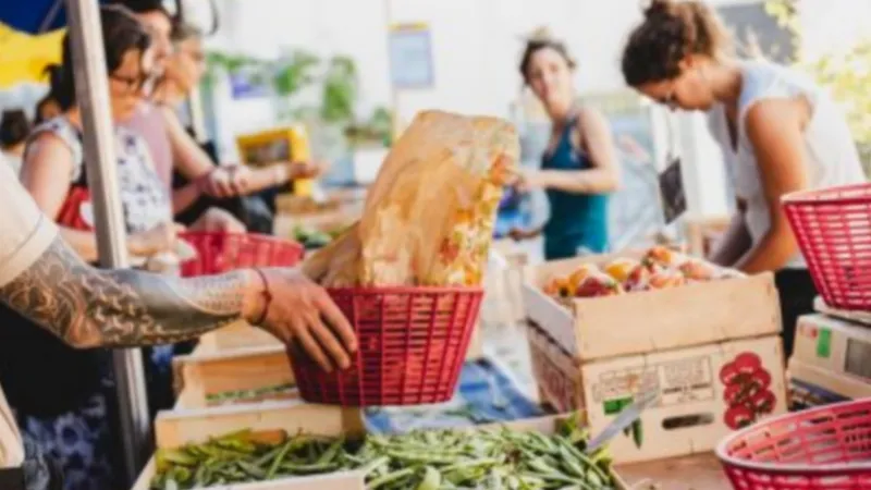 Le marché paysan de la Friche