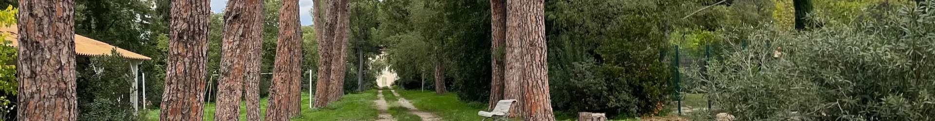 LES DIMANCHES AU GRÜTLI - 4 OCTOBRE