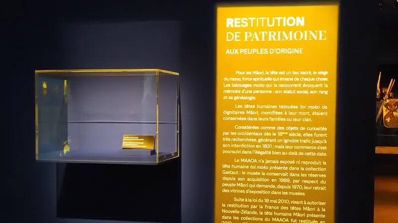 Journée d’étude "Des restes humains aux ancêtres. Présenter, représenter, dialoguer dans les musées" - MAAOA