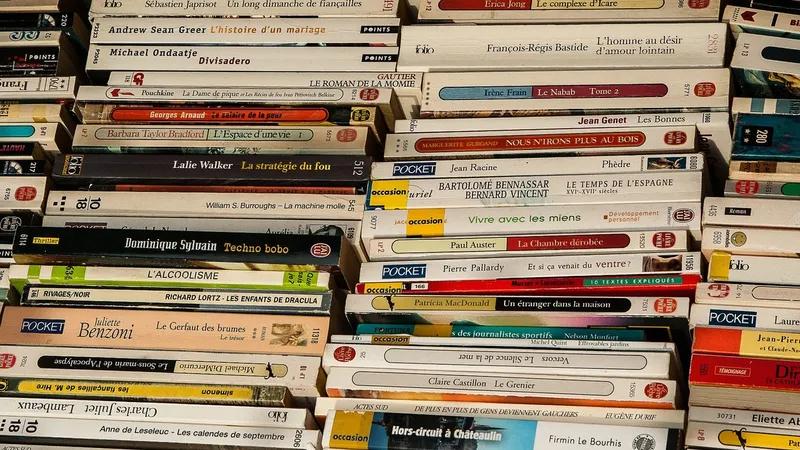 Le marché des bouquinistes