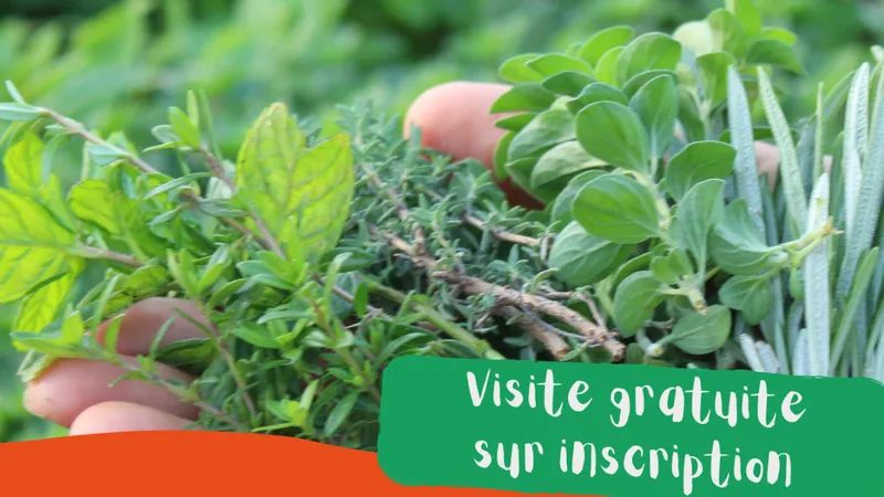Atelier cuisine 04/11 : confection d'un velouté de choux surprises !
