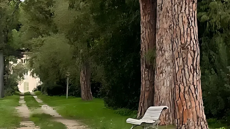 LES DIMANCHES AU GRÜTLI - 1er NOVEMBRE